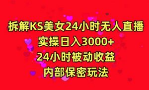利用快手24小时无人美女直播，实操日入3000，24小时被动收益，内部保密玩法【揭秘】-八爪鱼资源库