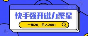 信息差赚钱项目，快手强开磁力聚星，一单20，日入200+【揭秘】-八爪鱼资源库