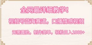 全网最详细教学，视频号蓝海赛道，口播情感视频，无需露脸，制作简单，轻松实现日入1000+【揭秘】-八爪鱼资源库