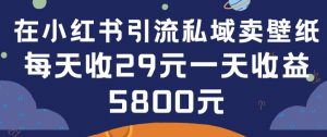 在小红书引流私域卖壁纸每张29元单日最高卖出200张(0-1搭建教程)【揭秘】-八爪鱼资源库