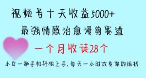 十天收益5000+，多平台捞金，视频号情感治愈漫剪，一个月收徒28个，小白一部手机轻松上手【揭秘】-八爪鱼资源库