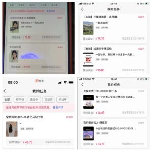 2024年3月最新,快手磁力聚星全流程实操教学,8台手机日均收益稳定100~200元【揭秘】-八爪鱼资源库