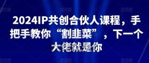 2024IP共创合伙人课程，手把手教你“割韭菜”，下一个大佬就是你-八爪鱼资源库