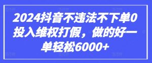 2024抖音不违法不下单0投入维权打假,做的好一单轻松6000+【仅揭秘】-八爪鱼资源库