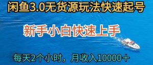 2024最新闲鱼无货源玩法,从0开始小白快手上手,每天2小时月收入过万【揭秘】-八爪鱼资源库