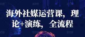 海外社媒运营课，理论+演练，全流程-八爪鱼资源库
