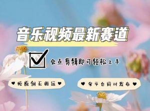 音乐视频赛道最新玩法,纯原创不违规,可所有平台同时发布,会点剪辑即可轻松拿捏【揭秘】-八爪鱼资源库