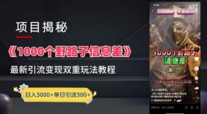 一千个野路子信息差最新玩法教程-变现+引流的玩法具体拆解【揭秘】-八爪鱼资源库