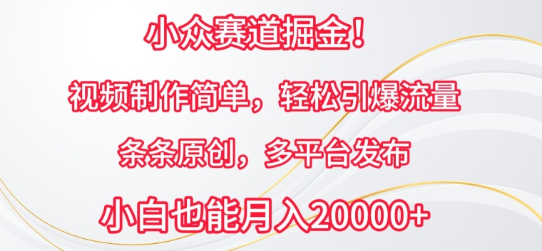 小众赛道掘金,视频制作简单,轻松引爆流量,条条原创,多平台发布【揭秘】-八爪鱼资源库