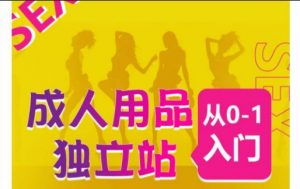 成人用品独立站从0-1入门，成品独立站运营全流程教学，七大好卖成品独立站推荐-八爪鱼资源库