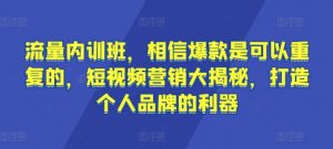 流量内训班,相信爆款是可以重复的,短视频营销大揭秘,打造个人品牌的利器-八爪鱼资源库