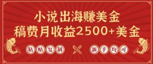 小说出海赚美金,稿费月收益2500+美金,仅需chatgpt粘贴复制,新手也能玩转【揭秘】-八爪鱼资源库
