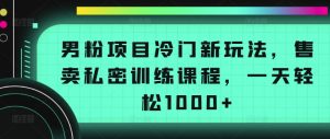 男粉项目冷门新玩法,售卖私密训练课程,一天轻松1000+【揭秘】-八爪鱼资源库