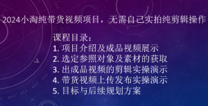 2024小淘纯带货视频项目，无需自己实拍纯剪辑操作-八爪鱼资源库
