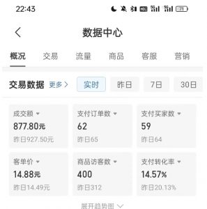 拼多多虚拟U盘电商红利项目:月赚2万+,新手小白也能玩-八爪鱼资源库