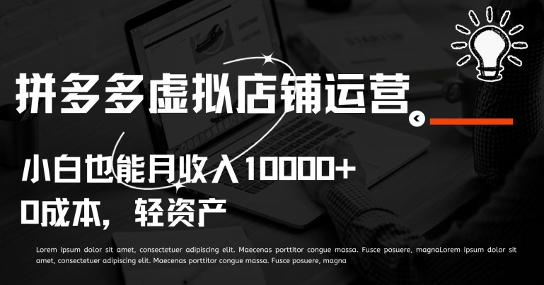 拼多多虚拟店铺运营小白也能月收入10000+【揭秘】-八爪鱼资源库