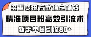 精准项目粉高效引流术,新手单日引流50+,多重变现方式稳定赚钱【揭秘】-八爪鱼资源库