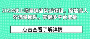 2024线上流量操盘实战课程，搭建高人效流量团队，掌握多平台流量-八爪鱼资源库