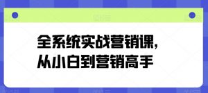 全系统实战营销课，从小白到营销高手-八爪鱼资源库