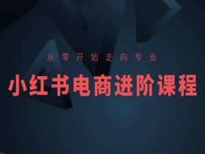 从零开始走向专业,小红书电商进阶课程-八爪鱼资源库