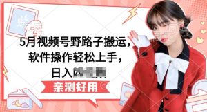 5月视频号野路子搬运,软件操作轻松上手,日入三位数【揭秘】-八爪鱼资源库
