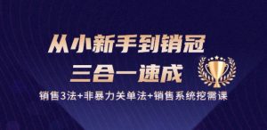 从小新手到销冠 三合一速成：销售3法+非暴力关单法+销售系统挖需课 (27节)-八爪鱼资源库