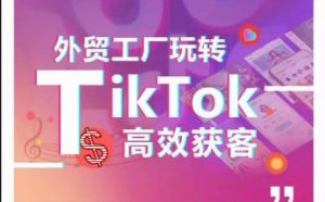 外贸工厂玩转TikTok高效获客，多种引流方式与账号定位技巧，拆解爆款短视频打造成功案例-八爪鱼资源库