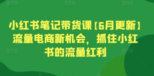 小红书笔记带货课【6月更新】流量电商新机会，抓住小红书的流量红利-八爪鱼资源库