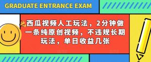 西瓜视频写字玩法，2分钟做一条纯原创视频，不违规长期玩法，单日收益几张-八爪鱼资源库