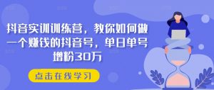 抖音实训训练营,教你如何做一个赚钱的抖音号,单日单号增粉30万-八爪鱼资源库