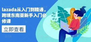 lazada从入门到精通，跨境东南亚新手入门必修课-八爪鱼资源库