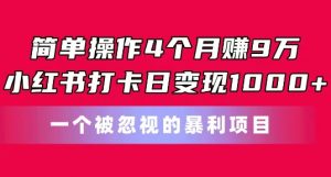 简单操作4个月赚9w，小红书打卡日变现1k，一个被忽视的暴力项目【揭秘】-八爪鱼资源库