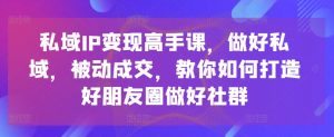 私域IP变现高手课，做好私域，被动成交，教你如何打造好朋友圈做好社群-八爪鱼资源库
