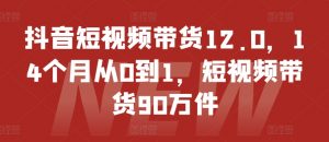 抖音短视频带货12.0，14个月从0到1，短视频带货90万件-八爪鱼资源库