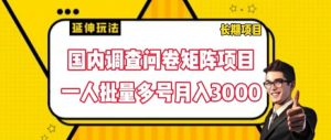 国内调查问卷矩阵项目，一人批量多号月入3000【揭秘】-八爪鱼资源库