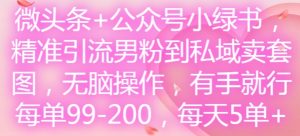 微头条+公众号小绿书,精准引流男粉到私域卖套图,无脑操作,有手就行,每单99-200,每天5单-八爪鱼资源库