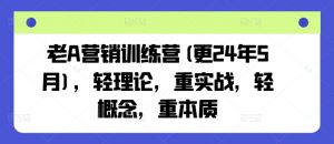 老A营销训练营(更24年6月),轻理论,重实战,轻概念,重本质-八爪鱼资源库