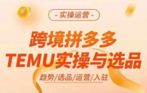 跨境拼多多TEMU实操与选品，多多temu跨境选品运营实操-八爪鱼资源库