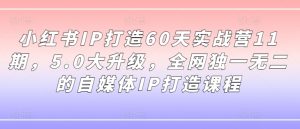 小红书IP打造60天实战营11期，5.0大升级，全网独一无二的自媒体IP打造课程-八爪鱼资源库
