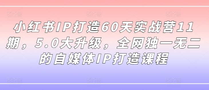 小红书IP打造60天实战营11期,5.0大升级,全网独一无二的自媒体IP打造课程-八爪鱼资源库