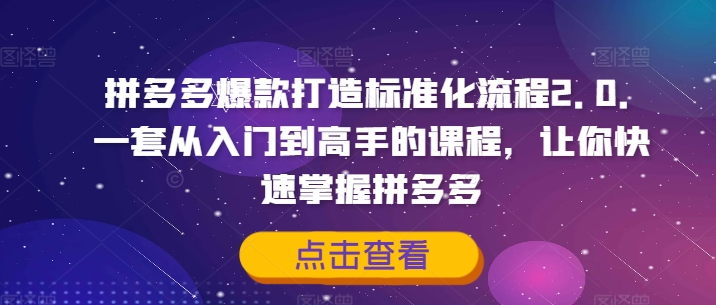 拼多多爆款打造标准化流程2.0,一套从入门到高手的课程,让你快速掌握拼多多-八爪鱼资源库