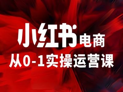 小红书电商从0-1实操运营课,让你从小白到精英-八爪鱼资源库