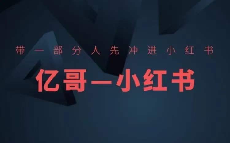 带一部分人先冲进小红书,小红书开店、选品、爆款裂变-八爪鱼资源库