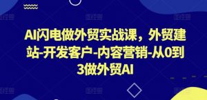 AI闪电做外贸实战课,外贸建站-开发客户-内容营销-从0到3做外贸AI(更新)-八爪鱼资源库
