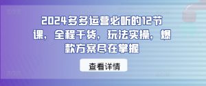 2024多多运营必听的12节课，全程干货，玩法实操，爆款方案尽在掌握-八爪鱼资源库