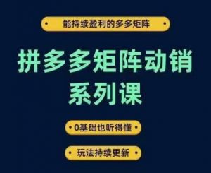 拼多多矩阵动销系列课,能持续盈利的多多矩阵,0基础也听得懂,玩法持续更新-八爪鱼资源库