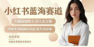 小红书蓝海赛道,圈中高端职场人,月入无上限,可矩阵,内含私域实操教程!-八爪鱼资源库