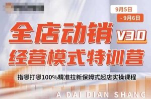 全店动销经营模式特训营，指哪打哪100%精准拉新保姆式起店实操课程-八爪鱼资源库