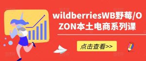 wildberriesWB野莓/OZON本土电商系列课,掌握WB产品优化,出单技巧和订单处理等-八爪鱼资源库