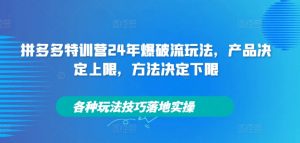 拼多多特训营24年爆破流玩法，产品决定上限，方法决定下限，各种玩法技巧落地实操-八爪鱼资源库
